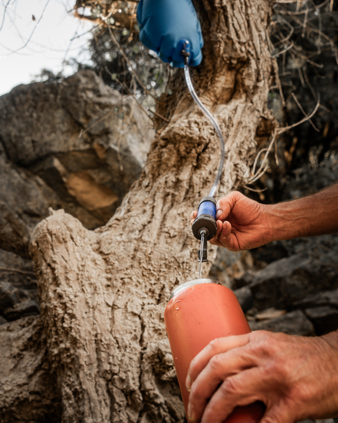 Pure and Refreshing: The Magic of River Water, Water Filters, and CocoLectro Freeze-Dried Coconut Water Powder